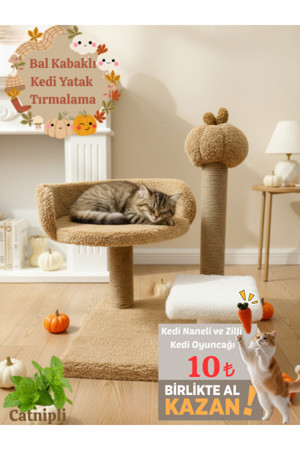 Kedi Tırmalama Tahtası |Kedi Evi | Kedi Yatağı | Bal Kabaklı | Konforlu Dinlenme | Evcil Hayvan - Image 1