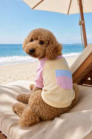 Soft Sun Köpek Tişörtü | Cepli Şeker Renkli Yazlık Köpek Kıyafeti | Küçük Irklar İçin - Image 1