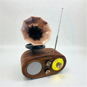 Everton Rt-746 Bluetooth Fm-Usb-Tf-Aux Şarjlı Nostaljik Radyo (KDO) - Image 1