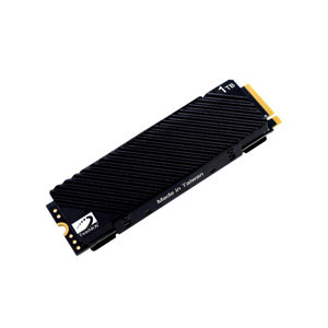TwinMOS Teknodayım TWINMOS 1TB NVMe M.2 2280 Heatsink