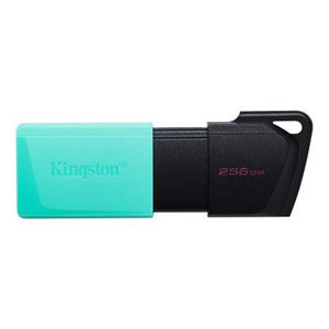 Kingston 256 GB KINGSTON EXODIA M USB BELLEK 3.2 DT DTXM/256GB