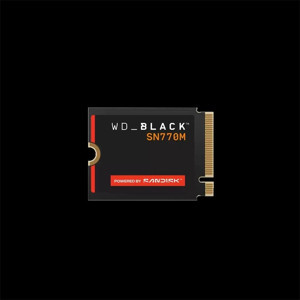 SanDisk Wd Black Sn770m 500GB M.2 2230