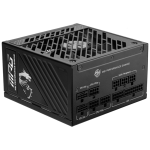 MSI MPG A1250GS PLUS