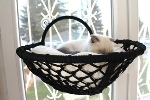 Homedora Grant Kedi Cam Yatağı & Cam Askılı Vantuzlu Kedi Yatağı Siyah 40x40 cm - Image 1