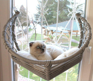 Homedora Harold Kedi Cam Yatağı & Cam Askılı Vantuzlu Kedi Yatağı Gri 40x40 cm - Image 1