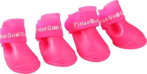 Wahw Pet Köpek Plastik Ayakkabısı Mix Color (Xl) 4lü - Taban 5cm - Image 1