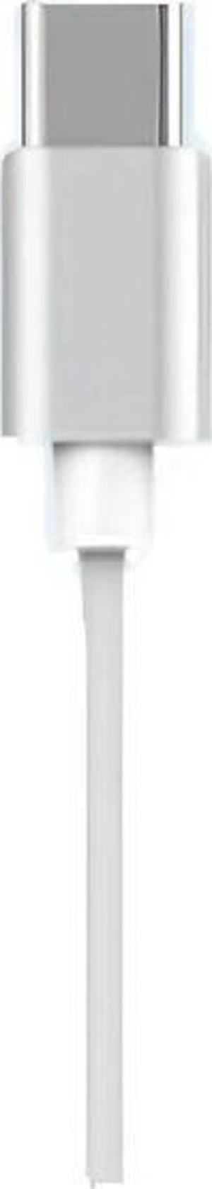 dvip S400T Type-C Girişli Uyumlu Kablolu Kulaklık Gümüş - Image 1