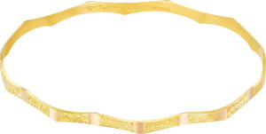 T51 Tuğrul Altın 10 gr (gram) 22 Ayar İşçiliksiz Birce Es Bilezik