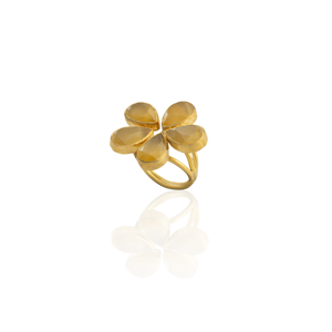 Kadir Jewellery 22 Ayar Altın Kaplama Zirkon Taşlı Kadın Vintage Yüzük - Image 1