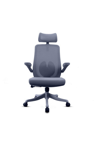 SAKURA GRİ ERGONOMİK FİLE SIRTLI OFİS KOLTUĞU | AYARLANABİLİR KOLÇAK & BEL DESTEĞİ