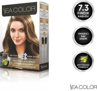 Sea Color 7.3  Fındık Kabuğu  Set Boya