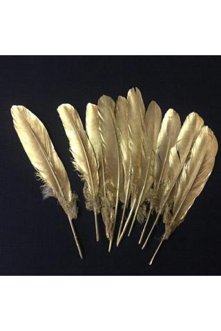 Kuzey 10 Adet Metalik Parlak Altın Kuş Tüyü Altın Kuş Tüyü Decor Gold Bırd Feather Altın Şeffaf Balon Tüyü
