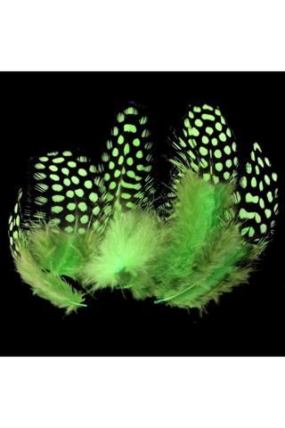 Kuzey 50 Adet Puantiyeli Yeşil Siyah Kuş Tüyü Yeşil Kuş Tüyü Green Bırd Feather Yeşil Şeffaf Balon Tüyü