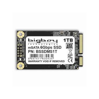 Bigboy 1TB mSata Sata3 Notebook SSD