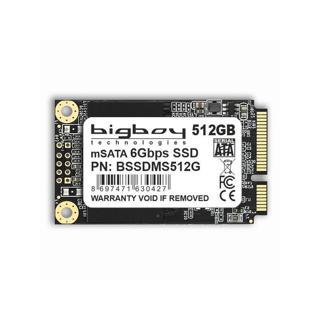 Bigboy 512GB mSata Sata3 Notebook SSD