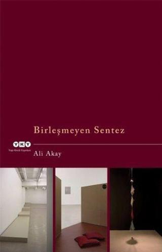 Birleşmeyen Sentez - Ali Akay - Yapı Kredi Yayınları