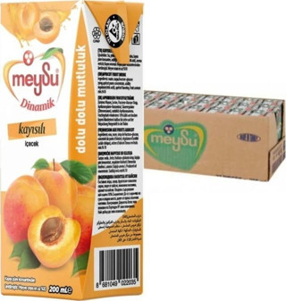 Meysu Kayısı Dinamik 200 Ml X 27 Adet