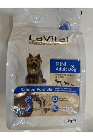 LaVital Somonlu Mini Yetişkin Köpek Maması 1,5 Kg