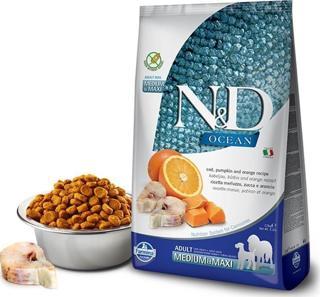 N&D Tahılsız Ocean Balkabaklı Morina Balıklı Medium Maxi Köpek Maması 2.5 Kg