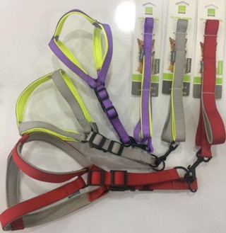 Nunbell Köpek Gögüs Tasması Gezdirmeli 1.5 cm x 120 cm