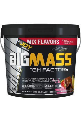 Big Joy Sports Bıgmass Gh Factors 5000 gr Mix