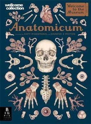 Anatomicum (Welcome To The Museum) - Kings Road Publishing