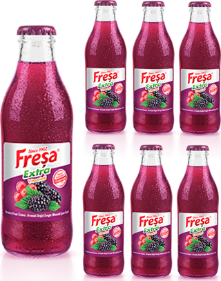 Freşa Extra Karadut Frenk Üzümü Mineralli Gazlı İçecek 200 ml x 6 Adet