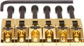 SS Floyd Rose Ssddles Gold 6 String