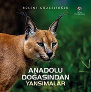 Anadolu Doğasından Yansımalar - Bülent Gözcelioğlu - Tübitak Yayınları