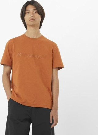 Salomon Bıg Logo Tee M Erkek Kahverengi Tshirt Lc2527100-51142