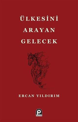 Ülkesini Arayan Gelecek - Ercan Yıldırım - Pınar Yayıncılık