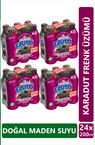 Uludağ Frutti Karadut Frenk Üzümü Aromalı Maden Suyu 200 ml x 24 adet