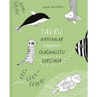 Yavru Hayvanlar Hakkında Olağanüstü Gerçekler - Maja Safström - Meav Yayıncılık