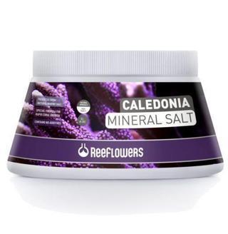 Reeflowers Caledonia Mineral Salt 5500 ml Akvaryum Tuzu