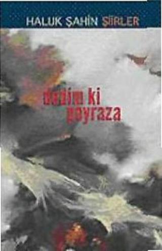 Dedim li Poyraza - Haluk Şahin - Güncel Yayıncılık