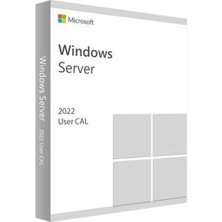 MICROSOFT Windows Server CAL 2022 OEM 5 kullanıcı R18-06478