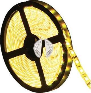 Fujiled Günışığı Şerit Led 24V  