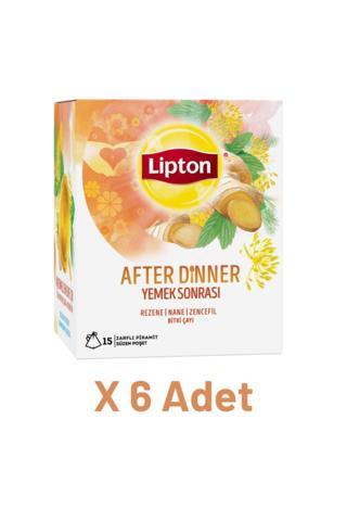 Lipton After Dinner - Yemek Sonrası Bardak Poşet Bitki Çayı 15li X 6 Adet