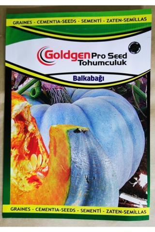 Azaklioglu Home And Garden Goldgen Pro Seed Bal Kabağı Tohumu