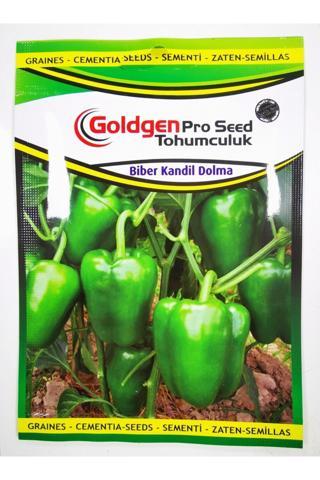 Azaklioglu Home And Garden Goldgen Pro Seed Biber Kandil Dolma