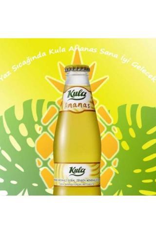 Kula Ananas Aromalı Doğal Mineralli Maden Suyu 200 Ml X 24 Cam Şişe (6 X 4’Lü Paket)