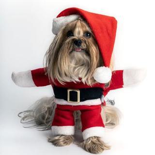 Max Design Noel Baba Kostüm Orta Irk Köpeklere Uygun Polar Göğüs65-71cm Sırt61cm 3XLarge