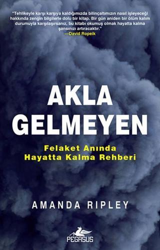 Akla Gelmeyen - Pegasus Yayınevi