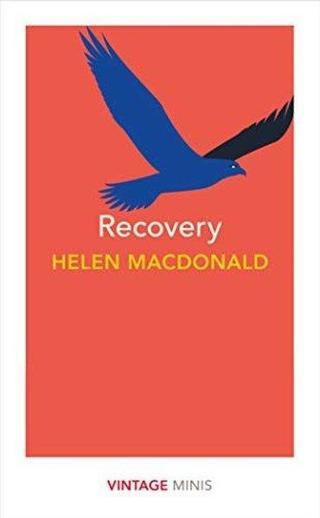 Recovery : Vintage Minis - Helen MacDonald - Penguin Classics