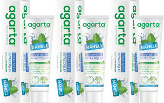 Agarta Doğal Diş Macunu 100ML Naneli (3 Lü Set)