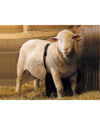 Aşım Önleyici Önlük uzun