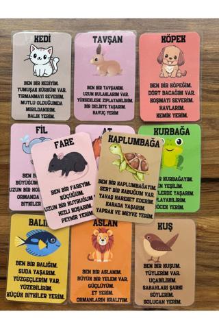 Renkli Zeka İngilizce Türkçe Eğitim Kartları Yıpranmaz Ve Yırtılmaz Hayvanlar Konuşuyor