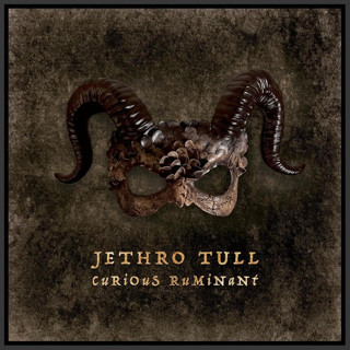 Sony Music Jethro Tull - Curious Ruminant /Plak