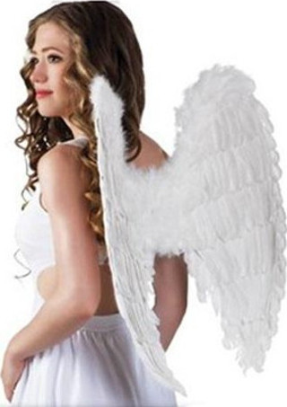 Bsre Melek Kanadı Kostümü