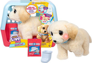 L0100000 LLP Yavru Köpek İyileşiyor - 26679